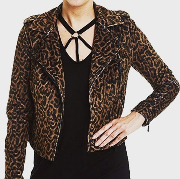 NWT Romeo & Juliet Couture Leopard Jacket - Picture 2 of 5